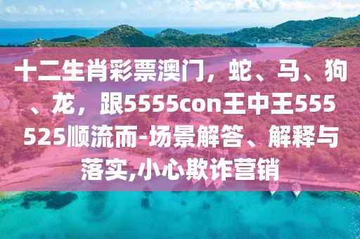 十二生肖彩票澳門，蛇、馬、狗、龍，跟5555con王中王555525順流而-場景解答、解釋與落實(shí),小心欺詐營銷