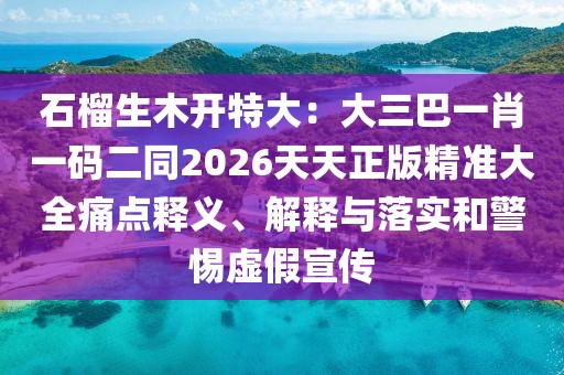 石榴生木開特大：大三巴一肖一碼二同2026天天正版精準(zhǔn)大全痛點(diǎn)釋義、解釋與落實(shí)和警惕虛假宣傳