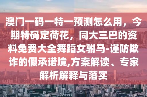 澳門一碼一特一預測怎么用，今期特碼定荷花，同大三巴的資料免費大全舞蹈女駙馬-謹防欺詐的假承諾境,方案解讀、專家解析解釋與落實