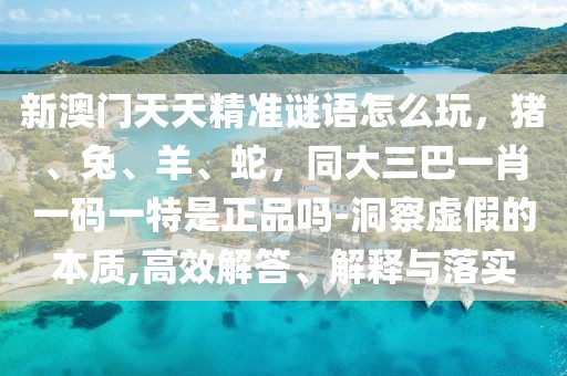 新澳門天天精準(zhǔn)謎語怎么玩，豬、兔、羊、蛇，同大三巴一肖一碼一特是正品嗎-洞察虛假的本質(zhì),高效解答、解釋與落實
