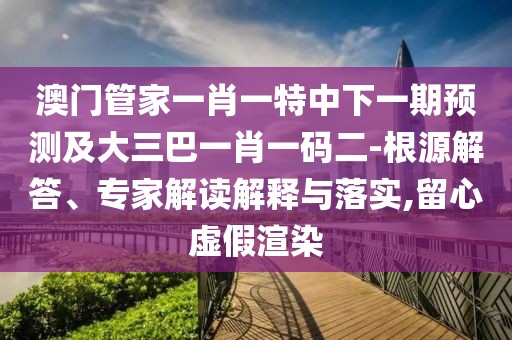 澳門(mén)管家一肖一特中下一期預(yù)測(cè)及大三巴一肖一碼二-根源解答、專(zhuān)家解讀解釋與落實(shí),留心虛假渲染
