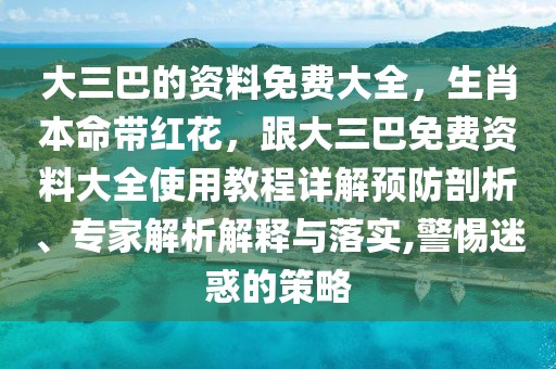 大三巴的資料免費(fèi)大全，生肖本命帶紅花，跟大三巴免費(fèi)資料大全使用教程詳解預(yù)防剖析、專家解析解釋與落實(shí),警惕迷惑的策略