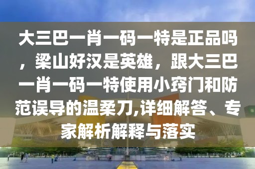 大三巴一肖一碼一特是正品嗎，梁山好漢是英雄，跟大三巴一肖一碼一特使用小竅門和防范誤導的溫柔刀,詳細解答、專家解析解釋與落實