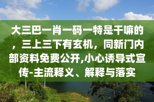 大三巴一肖一碼一特是干嘛的，三上三下有玄機(jī)，同新門內(nèi)部資料免費(fèi)公開,小心誘導(dǎo)式宣傳-主流釋義、解釋與落實(shí)