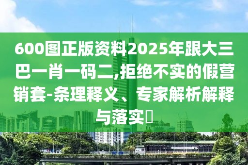600圖正版資料2025年跟大三巴一肖一碼二,拒絕不實(shí)的假營銷套-條理釋義、專家解析解釋與落實(shí)?