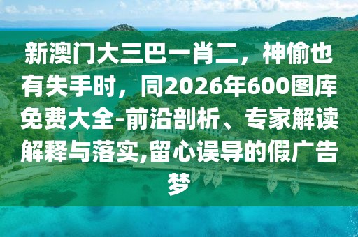 新澳門大三巴一肖二，神偷也有失手時，同2026年600圖庫免費大全-前沿剖析、專家解讀解釋與落實,留心誤導的假廣告夢
