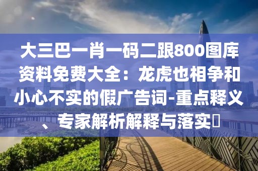 大三巴一肖一碼二跟800圖庫資料免費大全：龍虎也相爭和小心不實的假廣告詞-重點釋義、專家解析解釋與落實?