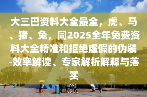 大三巴資料大全最全，虎、馬、豬、兔，同2025全年免費(fèi)資料大全精準(zhǔn)和拒絕虛假的偽裝-效率解讀、專家解析解釋與落實(shí)