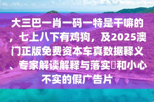 大三巴一肖一碼一特是干嘛的，七上八下有雞狗，及2025澳門正版免費資本車真數(shù)據(jù)釋義、專家解讀解釋與落實?和小心不實的假廣告片