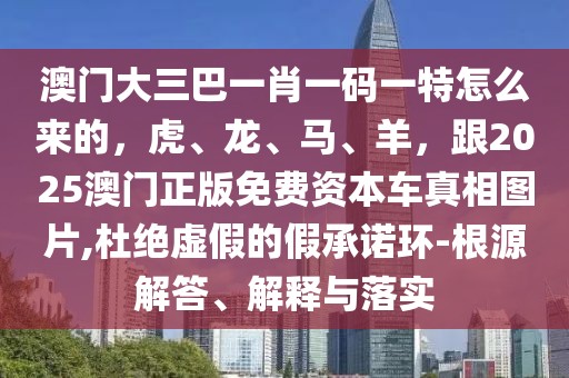 澳門大三巴一肖一碼一特怎么來的，虎、龍、馬、羊，跟2025澳門正版免費資本車真相圖片,杜絕虛假的假承諾環(huán)-根源解答、解釋與落實