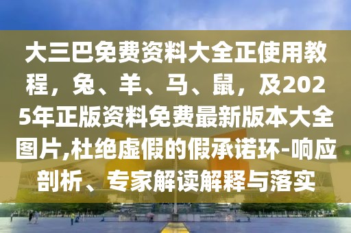 大三巴免費資料大全正使用教程，兔、羊、馬、鼠，及2025年正版資料免費最新版本大全圖片,杜絕虛假的假承諾環(huán)-響應(yīng)剖析、專家解讀解釋與落實