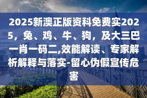 2025新澳正版資科免費實2025，兔、雞、牛、狗，及大三巴一肖一碼二,效能解讀、專家解析解釋與落實-留心偽假宣傳危害
