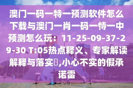 澳門一碼一特一預(yù)測軟件怎么下載與澳門一肖一碼一恃一中預(yù)測怎么玩：11-25-09-37-29-30 T:05熱點釋義、專家解讀解釋與落實?,小心不實的假承諾雷