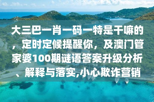 大三巴一肖一碼一特是干嘛的，定時(shí)定候提醒你，及澳門(mén)管家婆100期謎語(yǔ)答案升級(jí)分析、解釋與落實(shí),小心欺詐營(yíng)銷(xiāo)